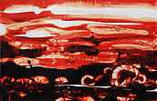 Chinese Garden - Swamp at dusk - Serigraphie 2011